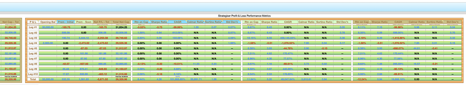 BSM Option Strategiser Portfolio Performance Metrics
